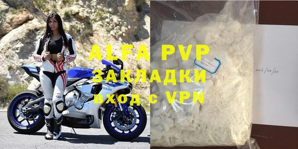 индика Баксан
