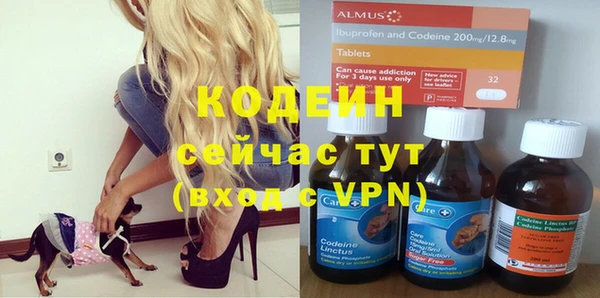 индика Баксан